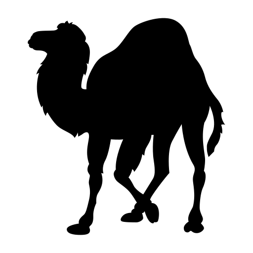 perl unikernel example